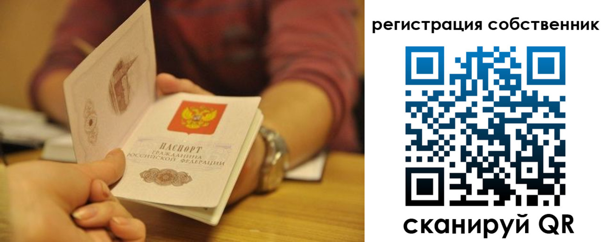 временная регистрация поиск в Острове